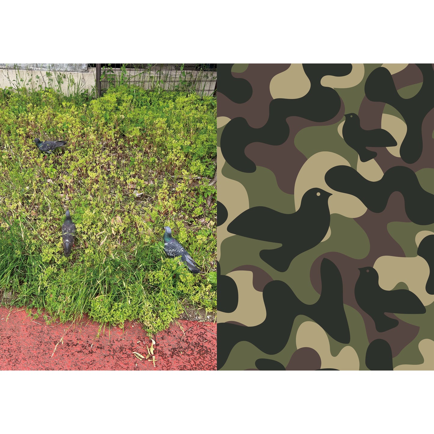 鳩(ハット)トリック