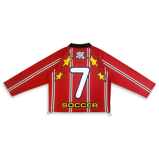 RED DEVILS JERSEY
