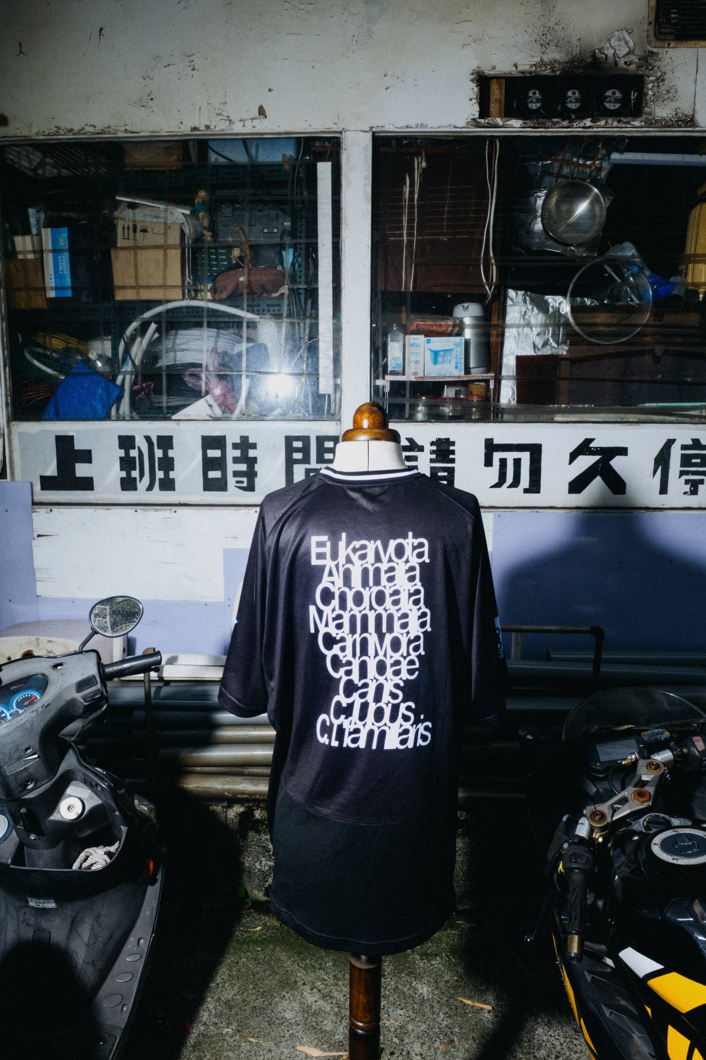 DOG PARADISE JERSEY